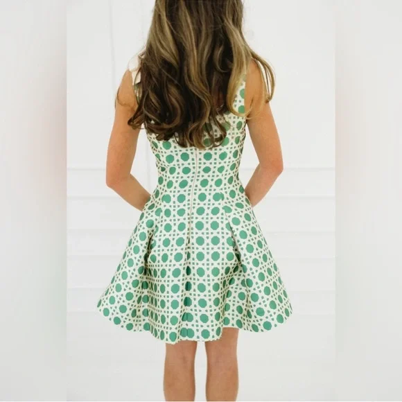 NWT Mestiza Sleeveless Green Patterned Mini Dress - Picture 10 of 12
